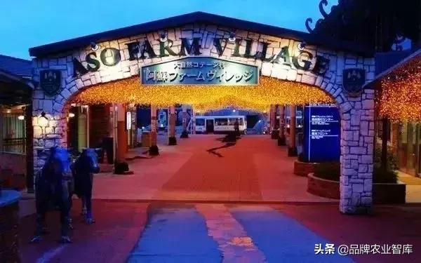 变态的日本农业:敬畏自然、超前思维、死磕单品!