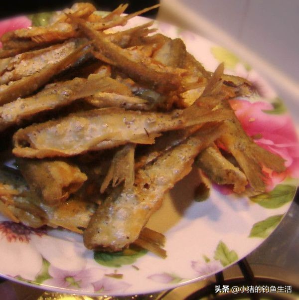 夏天野钓不到鱼,夏天钓不到大板鲫