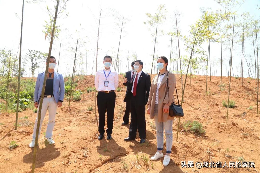 垃圾场不见了怎么办 (收回垃圾场照片)