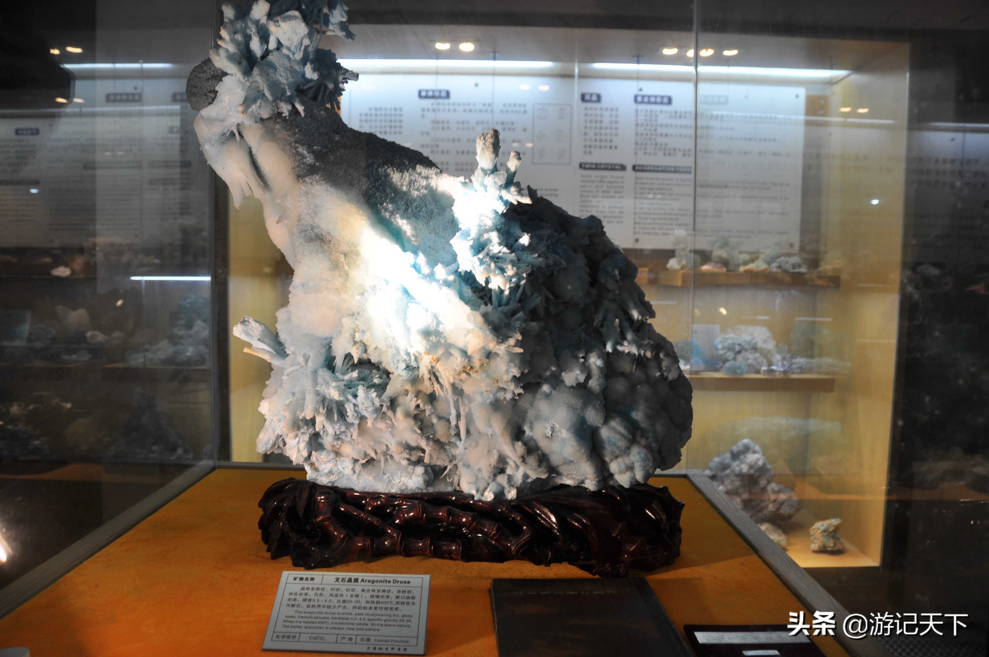 参观上海东方地质科普馆,上海东方地质科普馆需要预约吗