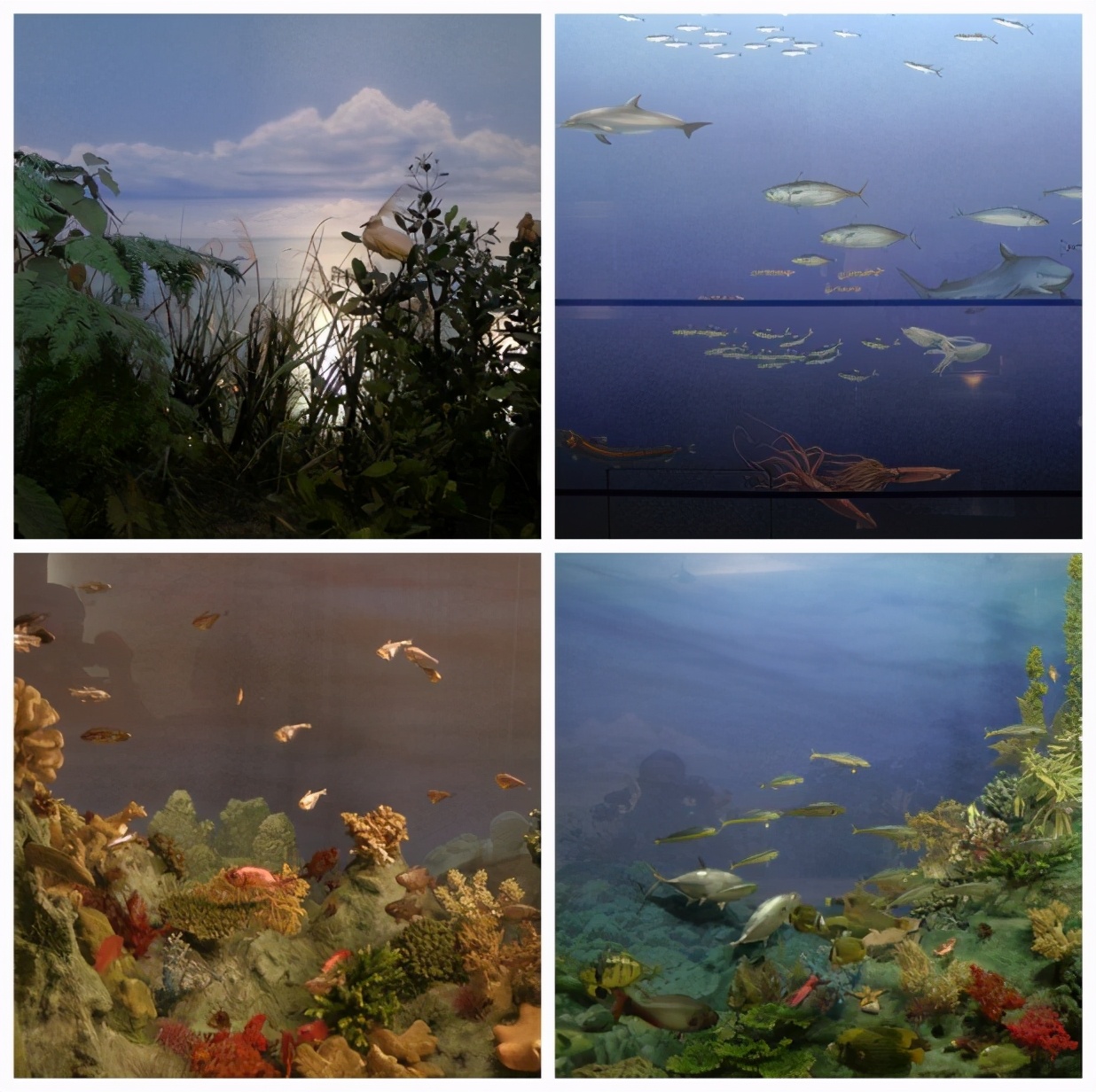 台湾8日游攻略自由行路线图片,台湾环岛之旅8日游