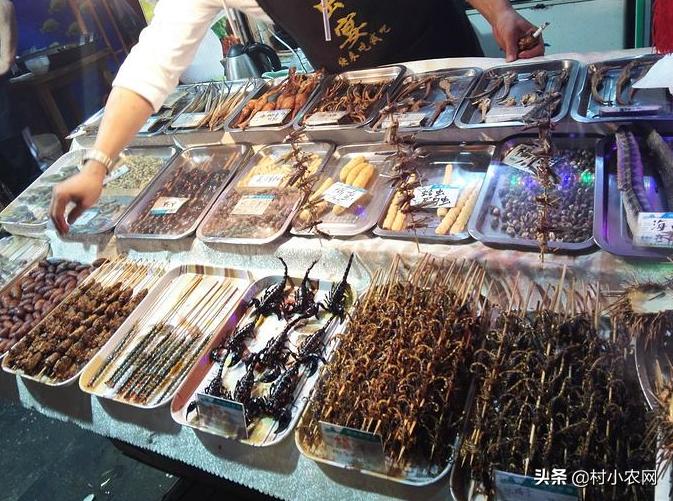 农村养什么发财致富的好项目,农村养什么投资小又挣钱