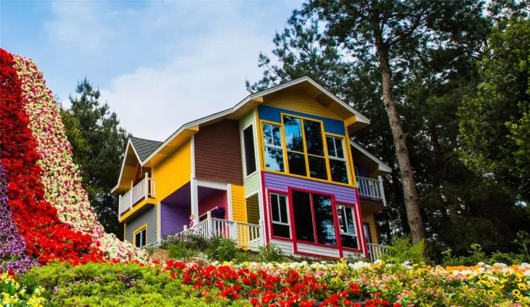 贵阳最快到达的“树屋王国”，一个童话照进现实的地方