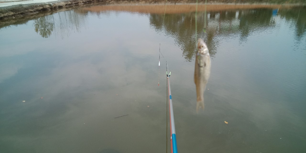各种鱼钩适合钓哪些鱼,最常见的几种鱼钩大小比较