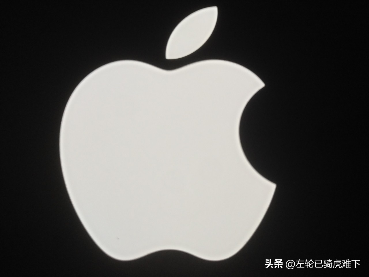 apple苹果粉丝福利,apple粉丝