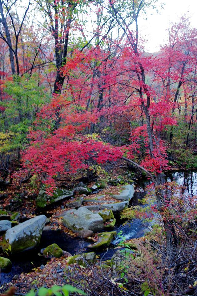 十一沿途风景,十一去红叶谷的景致