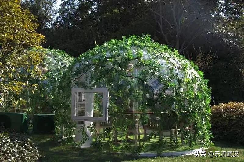 比咖啡馆有底蕴、比图书馆有情趣，集美貌才华于一身的，就在这