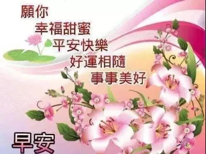 问好表情包｜我喜欢你，像日月轮流交替，不理朝夕