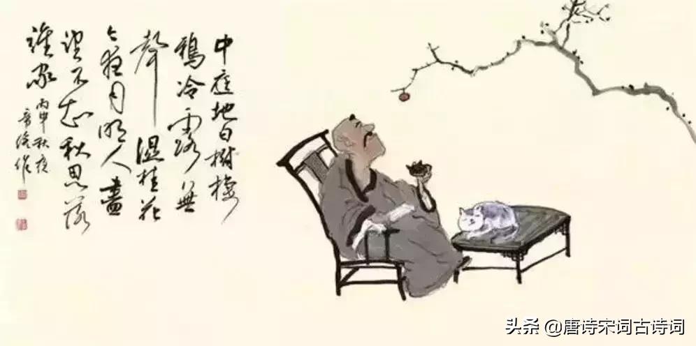 60句唯美且禅意十足的诗句,读过之后能放松心情的书