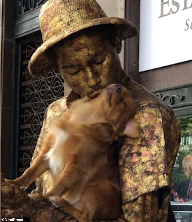 狗伪装成了金狮雕像,狗狗充当雕像