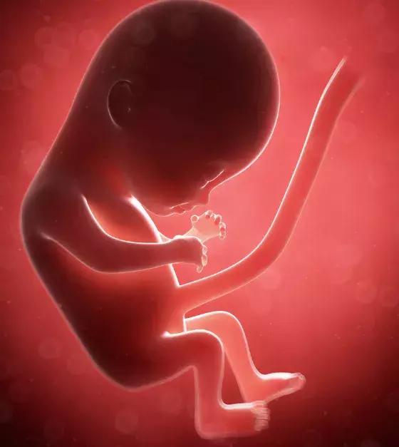 孕中期孕妇洗澡能超过20分钟吗,孕妇洗澡会导致胎停吗