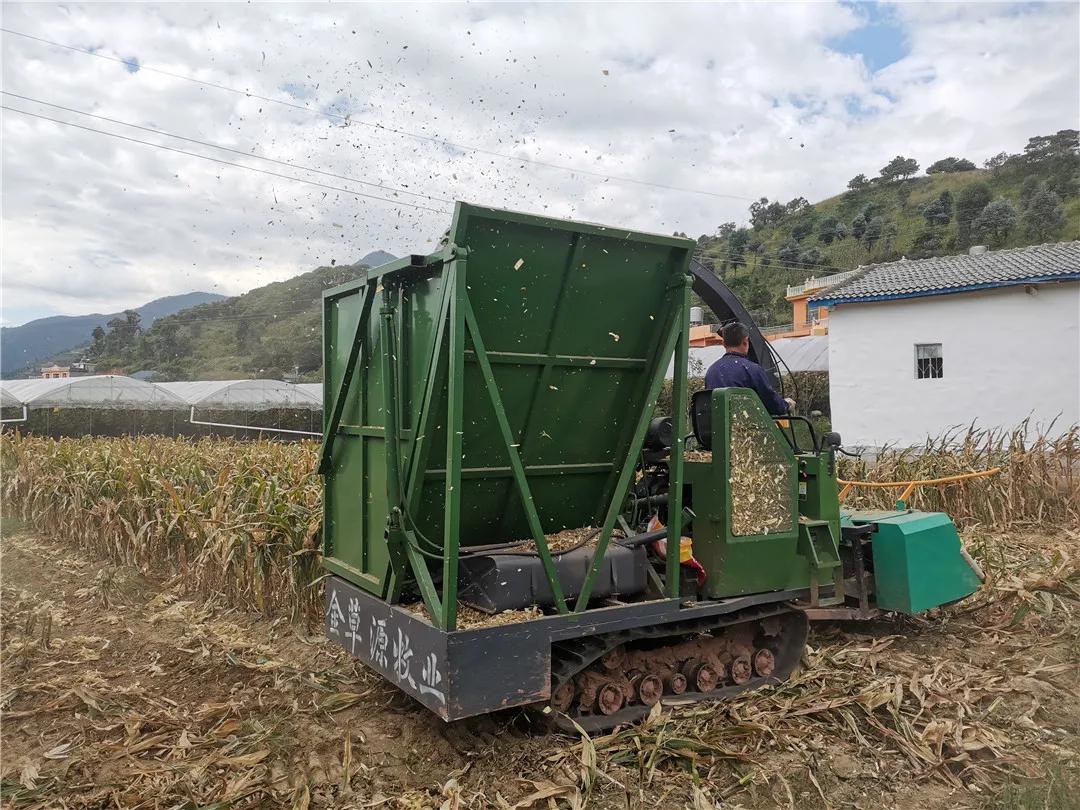 我为农民群众办实事活动方案,秸秆回收再利用变草为宝促增收