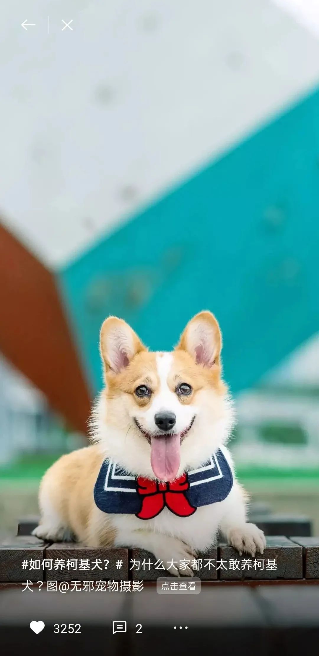 锁屏供稿精选丨大佬，您的作品上线了