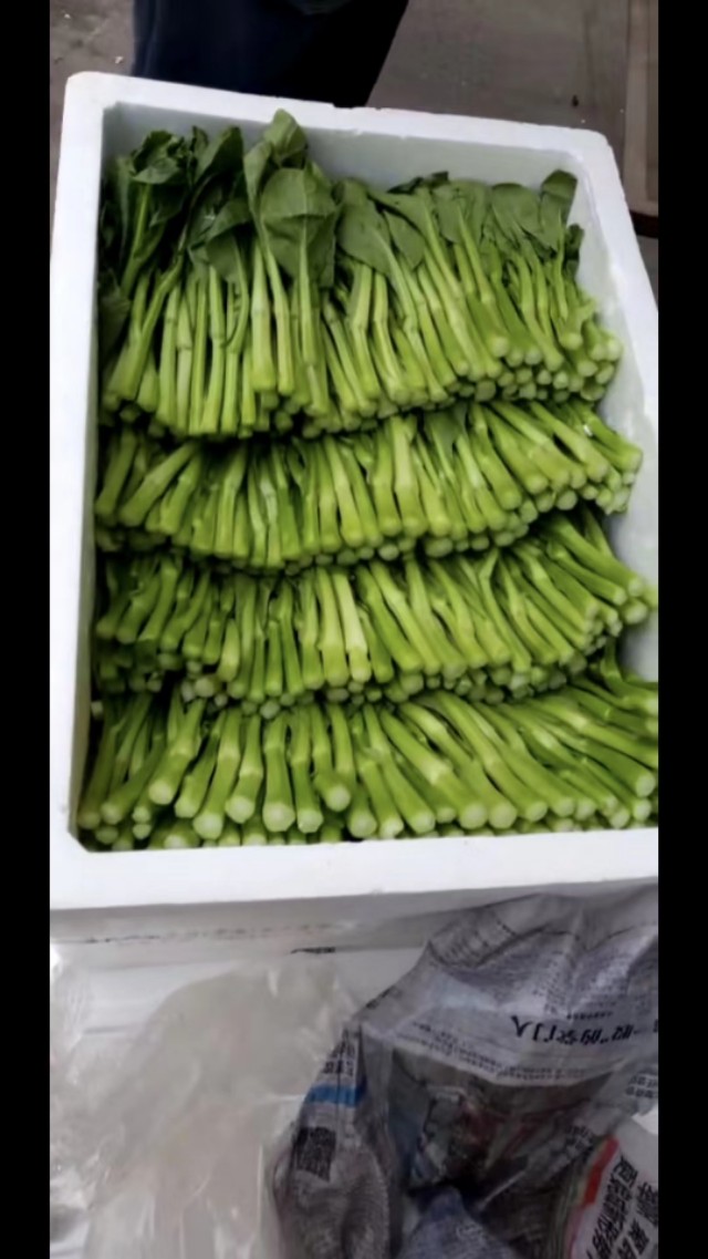 二月二日郑州万邦蔬菜行情,郑州万邦国际农批市场