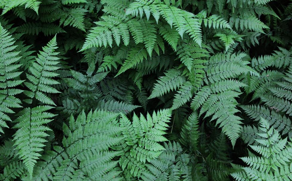 含有精辟人生哲理的经典短句,富含人生哲理的经典名句