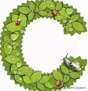 c语言必背100行代码编程入门教学,编程入门先学c语言还是python