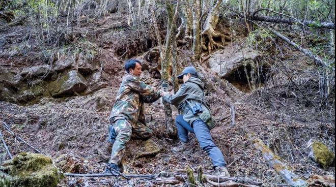 如何在村里建立一个公益基金,集体出资农户认养村庄美化新模式