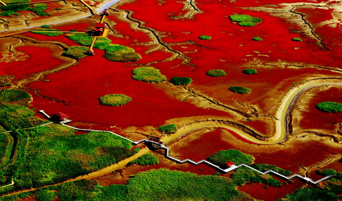 盘锦地区旅游,盘锦旅游景点中最靓丽的名片