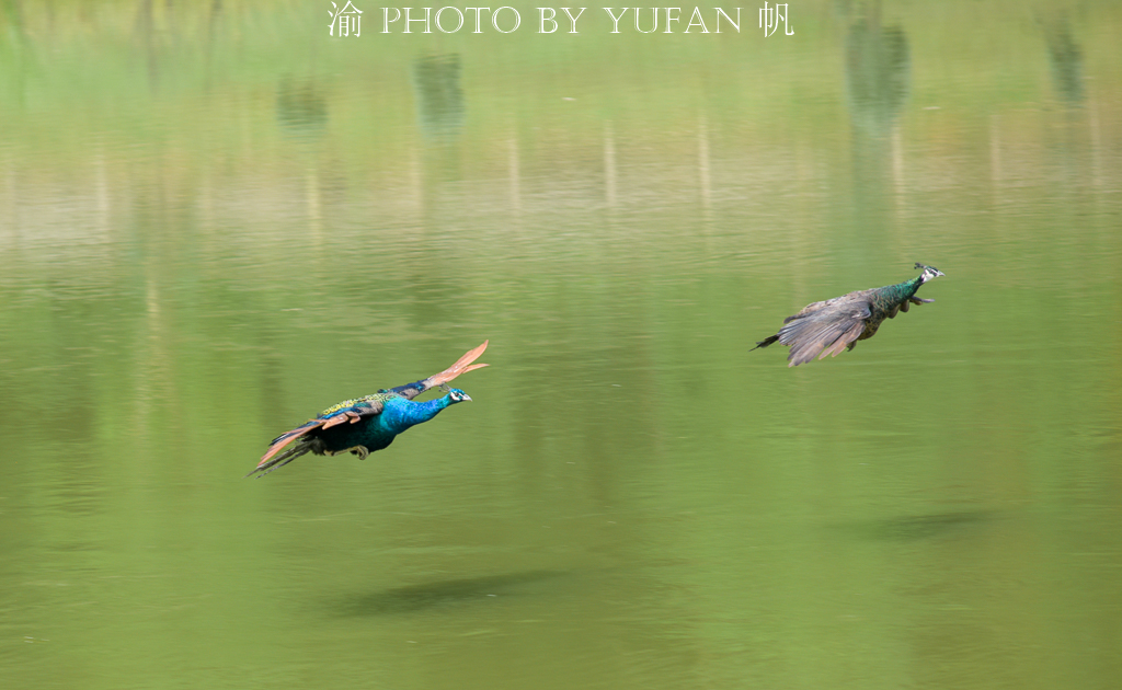 周末去哪儿玩重庆巴南,巴南周末户外带孩子去哪里玩