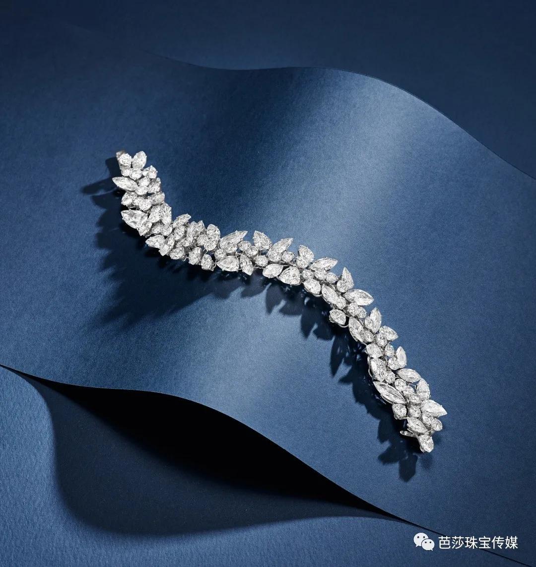 保姆级拍照教程软件,保姆级拍摄教程