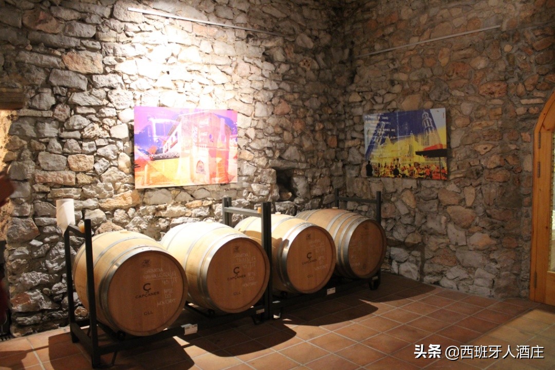 走进葡萄酒专卖店,走进葡萄酒庄园视频