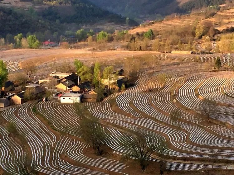 被称为上帝的指纹的图形,上帝的指纹景区