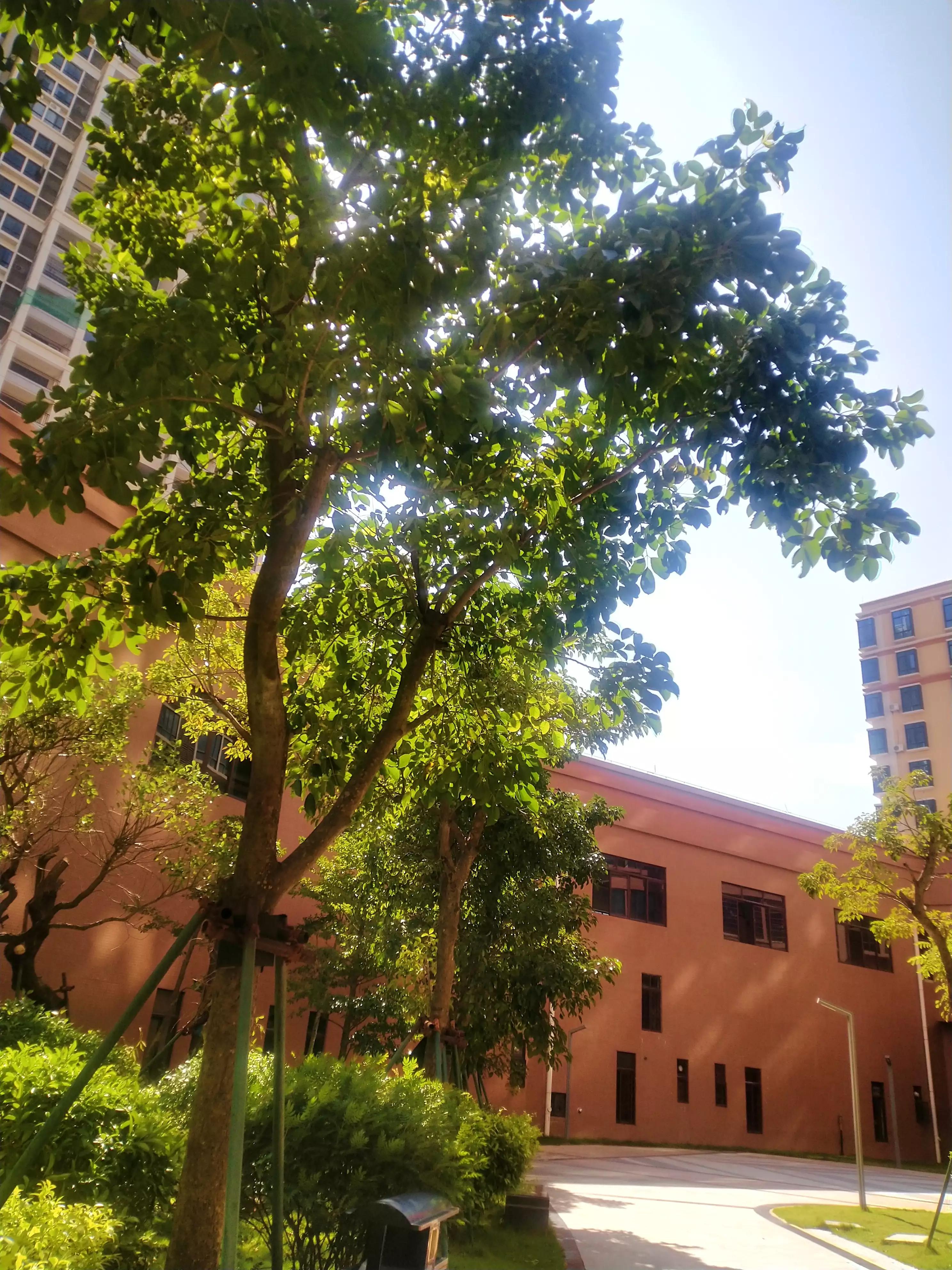 海景明珠,海景明珠租房
