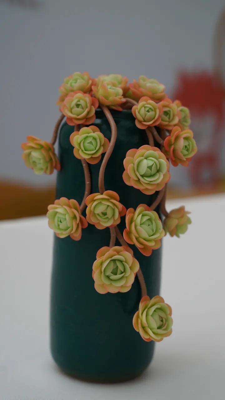 这个年销量上亿株多肉的县城，举办了首届多肉电商节