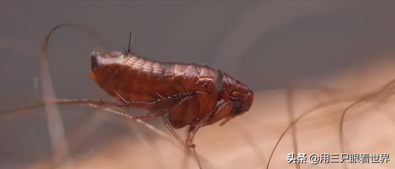 知青难忘的岁月,知青难忘的回忆故事