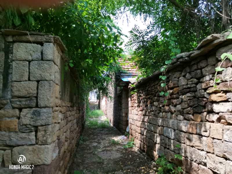 鞭杆治驴图片,鞭杆治驴段子