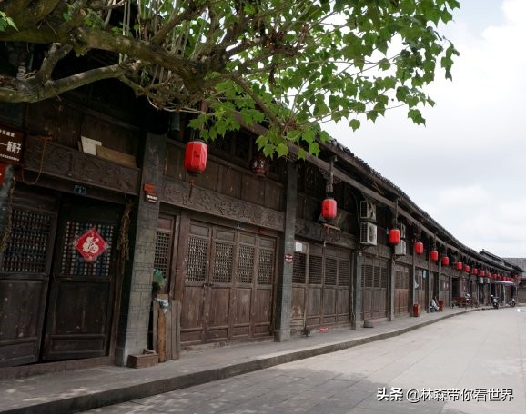 林森完整版免费观看,林森完整视频