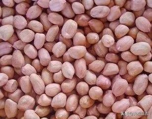 花生的管理方法及注意事项,花生苗移栽时应注意些什么