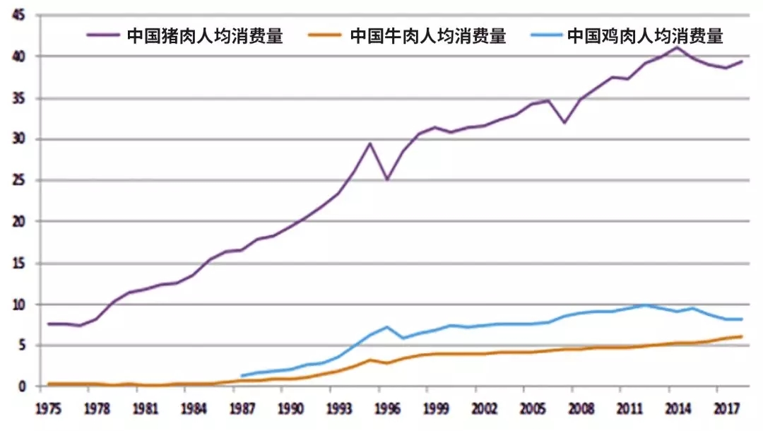 这一次，“风口上的猪”是真的猪！