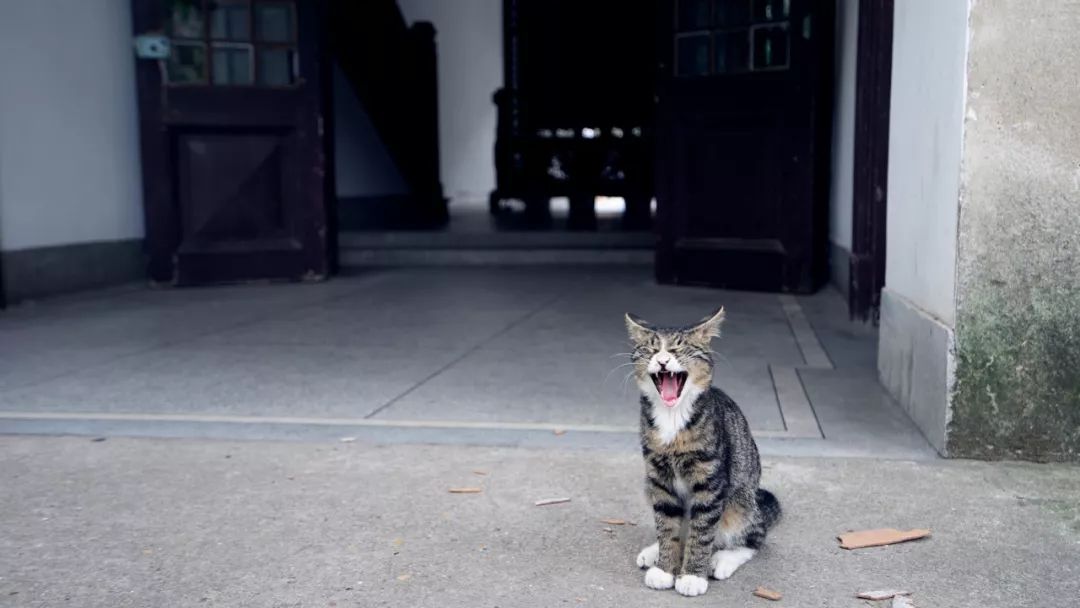 去了那么多次你真的了解南京吗,去了很多地方就会有阅历吗