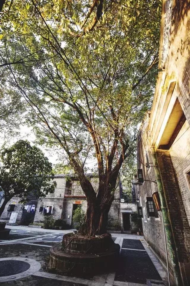 4轨交汇！芳村将华丽大变身！但老芳村正在慢慢消失…