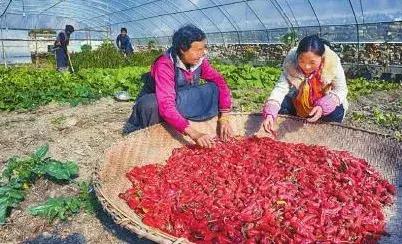 稻城县找项目,天府旅游名县创建工作汇报