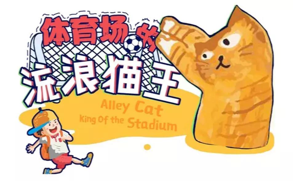 体育馆的流浪猫,体育场里的流浪猫王