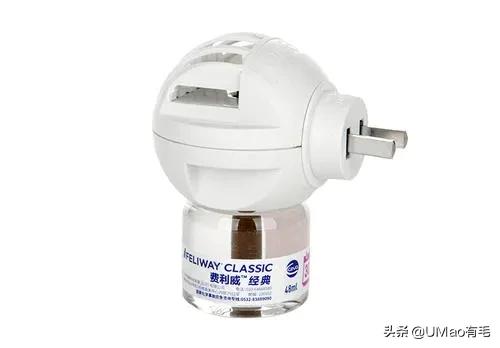 小猫咪很容易被吓一跳怎么办,小猫咪很容易被吓一跳