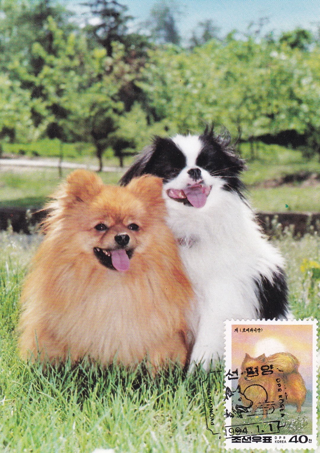 关于生肖狗的电影大全,12生肖狗的电影