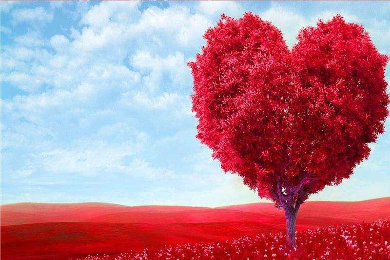 狮子座在十二星座眼里是什么样的,十二星座中谁会和狮子座相处