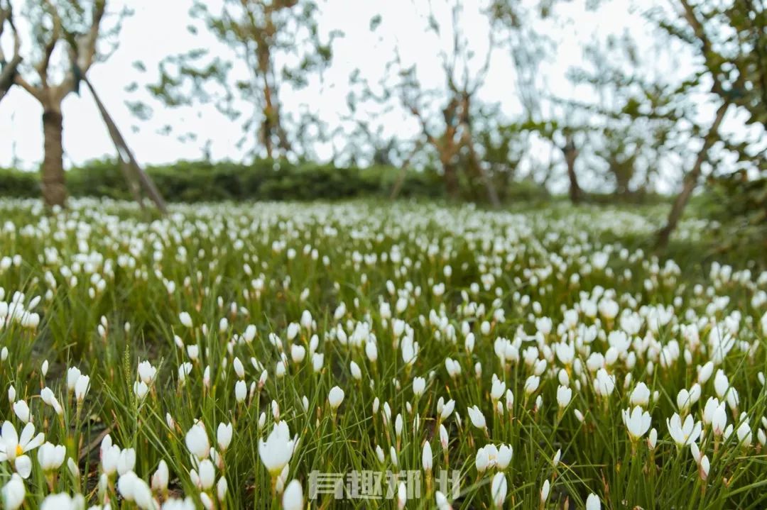 郑州国庆附近免费的景点推荐,国庆假期郑州免费景点