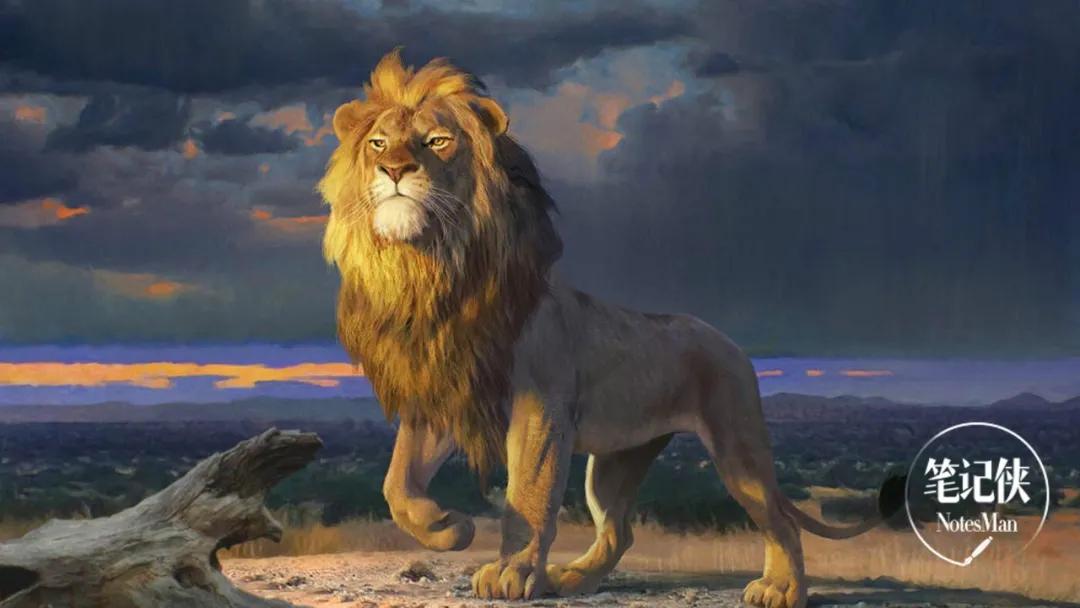 马云ceo应该干什么,马云如何做ceo