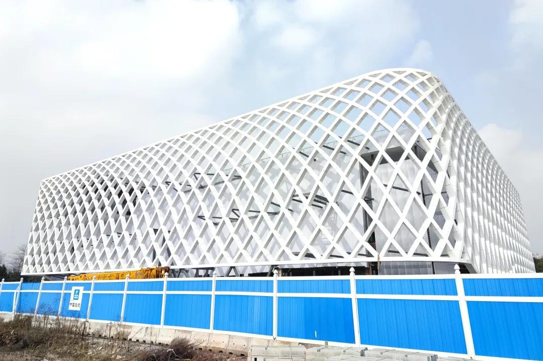 生命树工程视频,中建八局世博项目