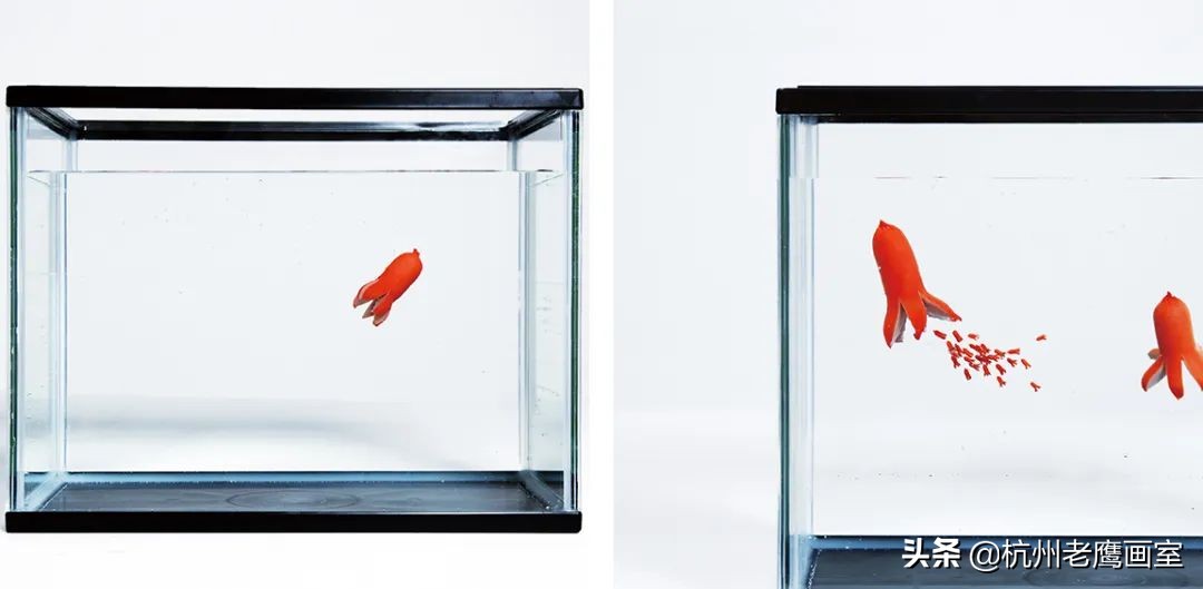 日本艺术大学作品集要求,日本艺术大学本科毕业