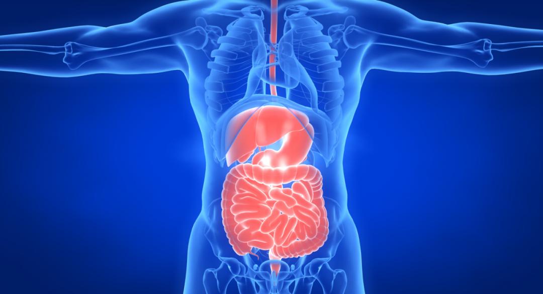 健身教练初学者必看,新入门健身教练推荐书籍