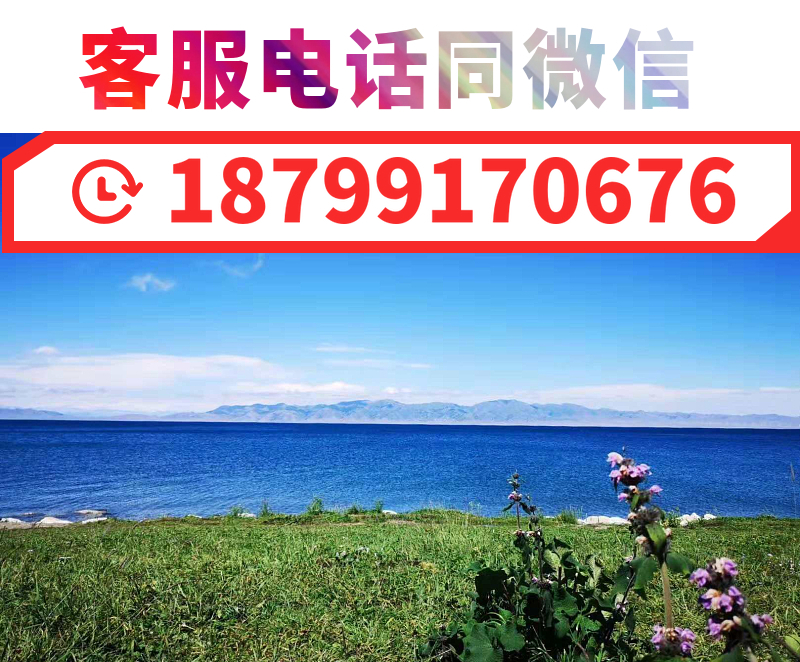 2020年*疆新**旅游翼卡通那里购买？*疆新**旅游年卡价格旅游翼多少钱？