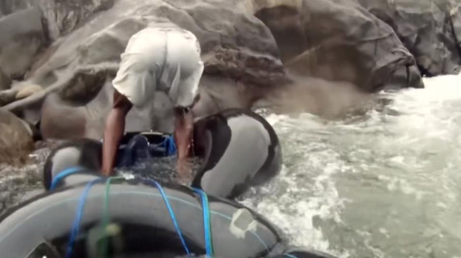 实拍非洲紫檀木*私走**全过程：护林员做*私走**，一根紫檀木赚三万