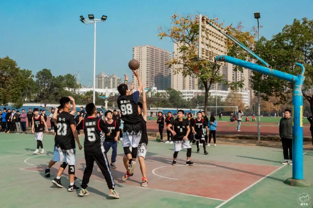 不输武大樱花，文华学院美“枫”了