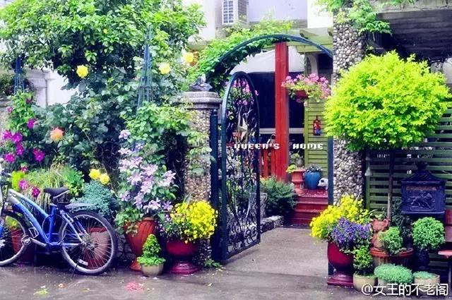 她40岁之前忙成狗，40岁之后在上海买房隐居