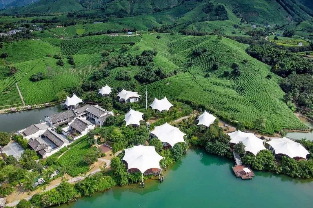 风险提示的内容,风险提醒是真的吗